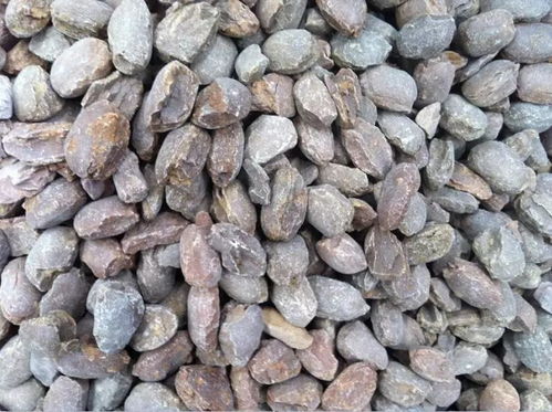 行情 中國(guó)鎂砂市場(chǎng)價(jià)格趨穩(wěn),高純鎂砂深受老外青睞