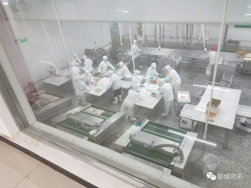 紅盾護企 食品生產科在行動，保障電熔鎂生產安全